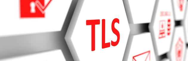 TLS Logo